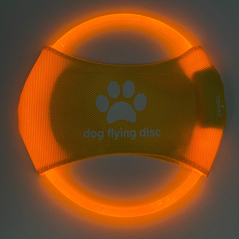 LED Frisbee