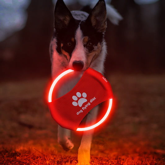 LED Frisbee